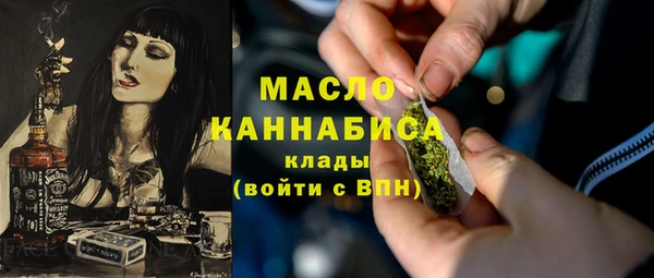 индика Аркадак