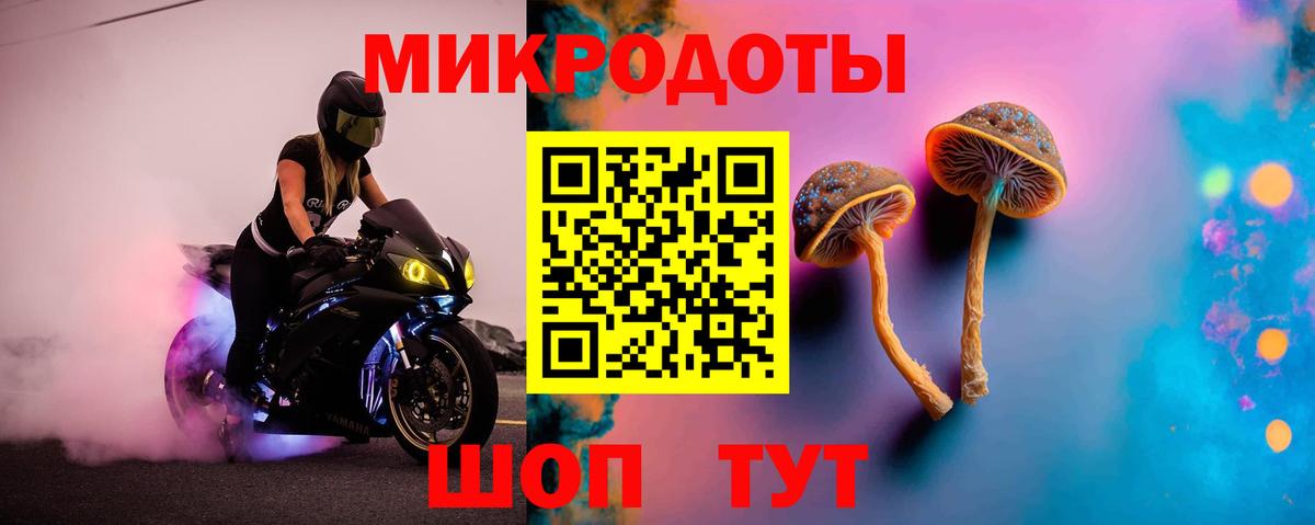Борзя  Псилоцибиновые грибы мицелий  Вход с VPN 